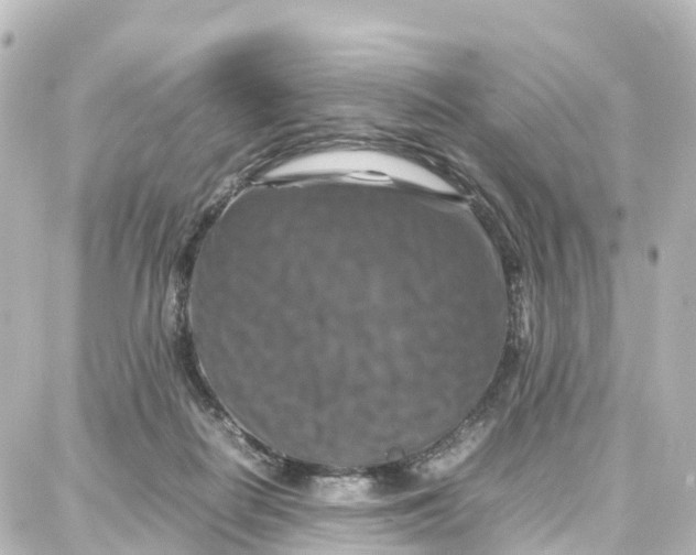 X0000087710266200705251806
