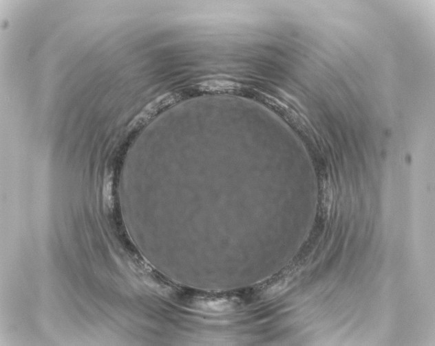X0000087710267200705251806