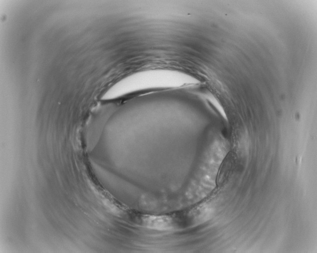 X0000087710277200705251806