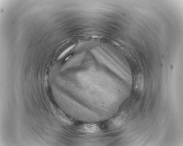 X0000087710279200705251806