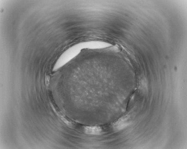 X0000087710281200705251806