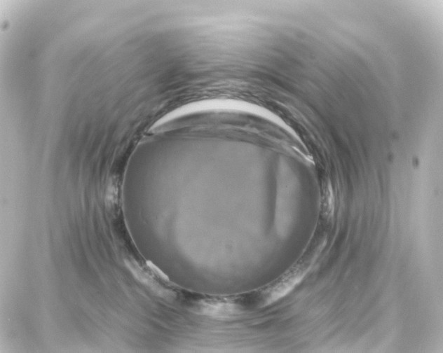 X0000087710284200705251806