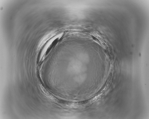 X0000087710293200705251805