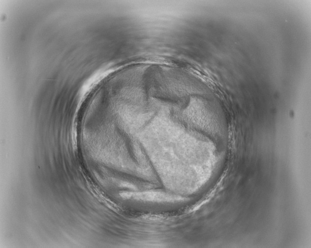 X0000087710294200705251805