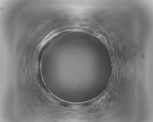 X0000087710295200705251805