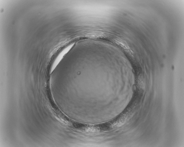 X0000087710303200705251805