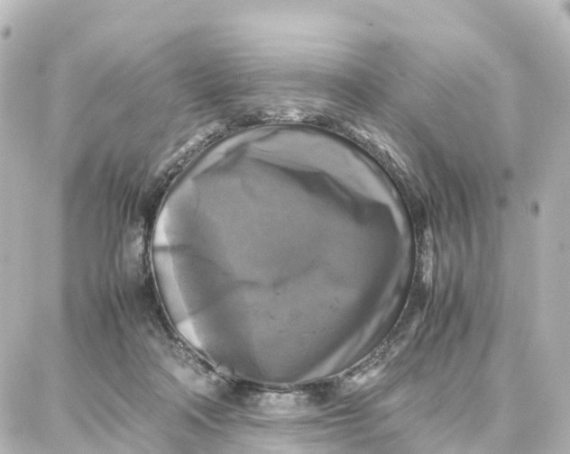 X0000087710314200705251805