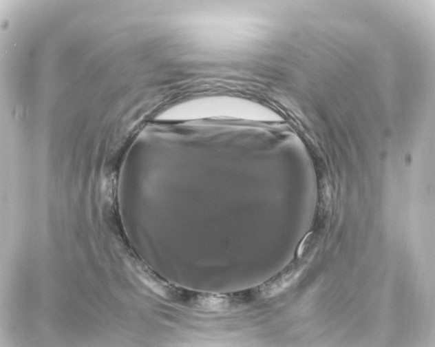 X0000087710325200705251805