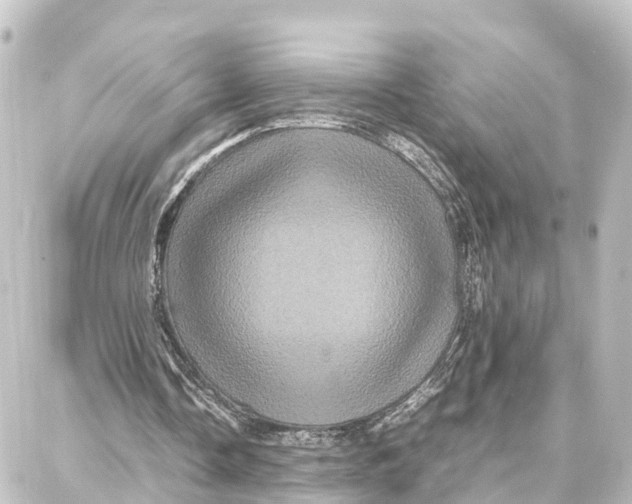 X0000087710338200705251804