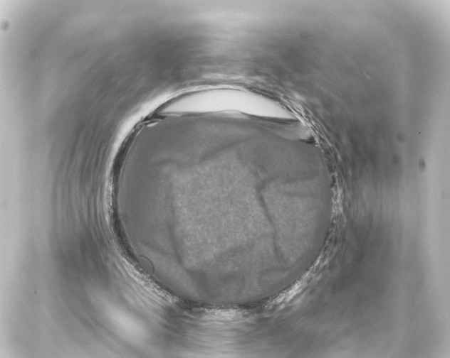 X0000087710342200705251804