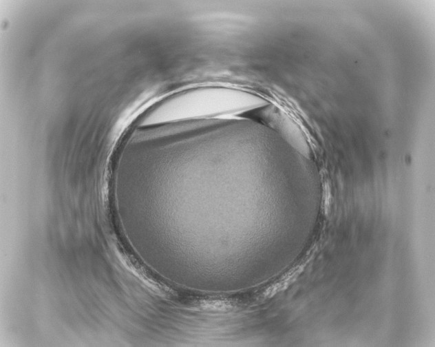 X0000087710344200705251804