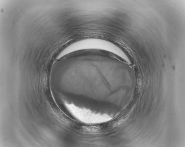 X0000087710359200705251804