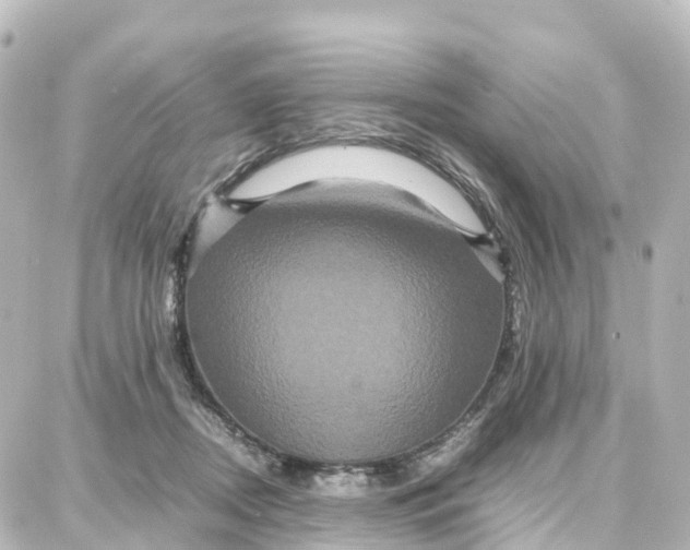 X0000087710362200705251804