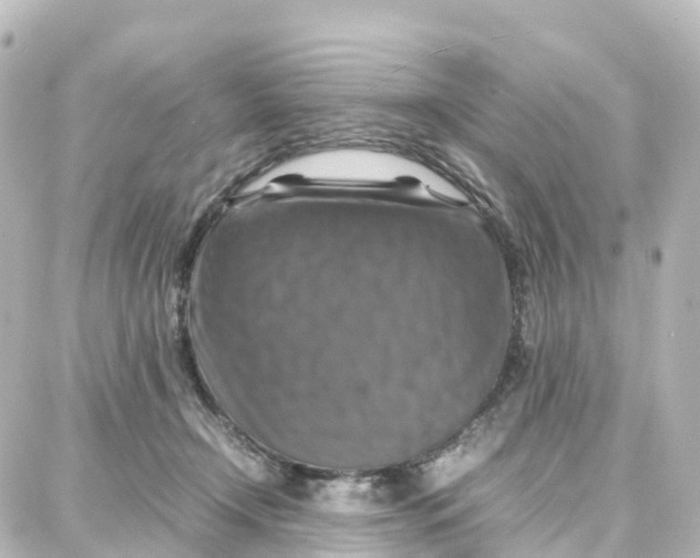 X0000087710366200705251804