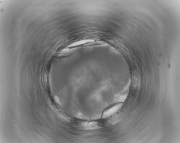X0000087710375200705251804