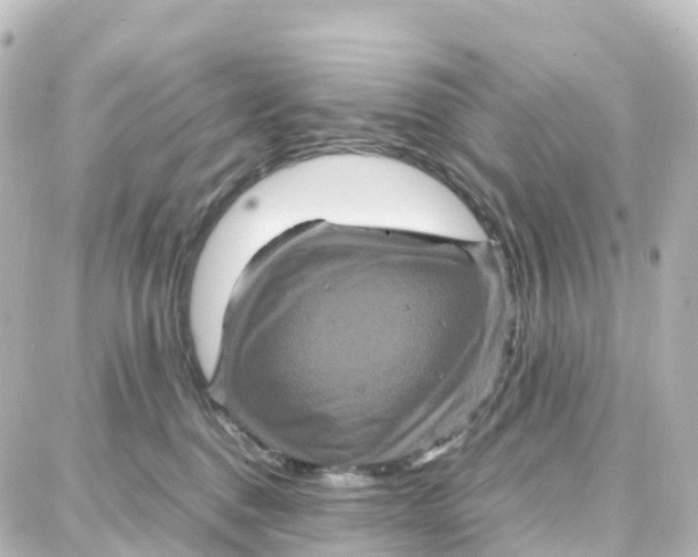 X0000087710376200705251804