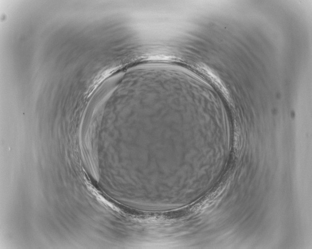 X0000087710385200705251804