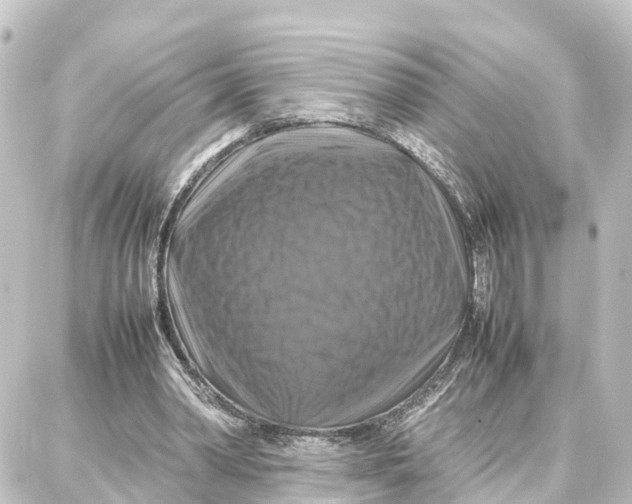 X0000087710390200705251804