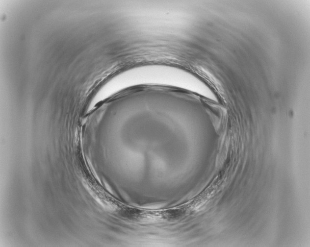 X0000087710405200705251803