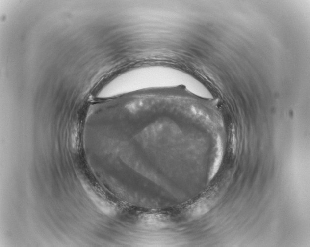 X0000087710408200705251803