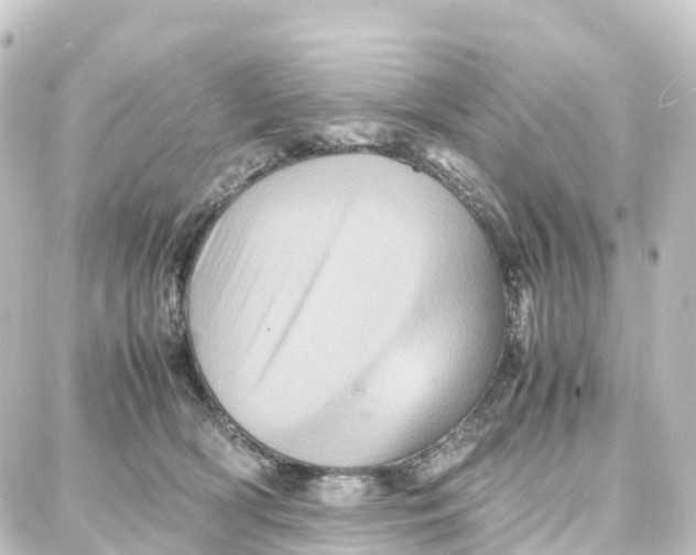 X0000087710418200705251803