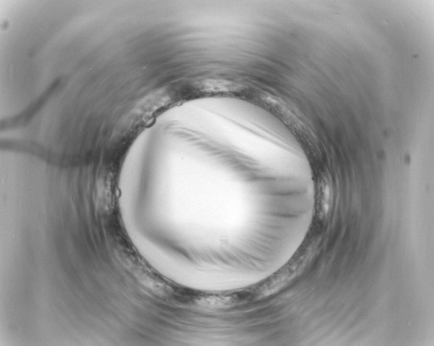 X0000087710422200705251803