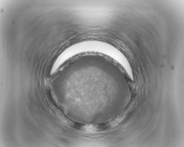 X0000087710425200705251803