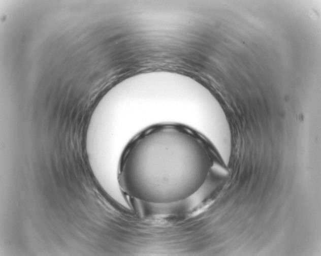 X0000087710428200705251803