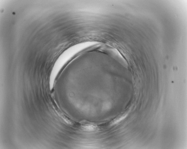 X0000087710432200705251803
