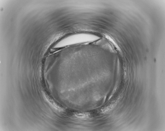 X0000087710447200705251802