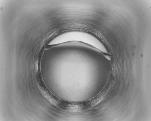 X0000087710454200705251802
