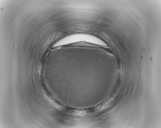 X0000087710458200705251803