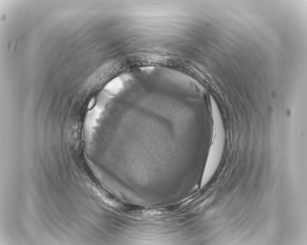 X0000087710462200705251803