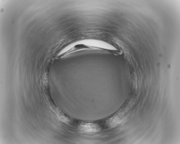 X0000087710467200705251803