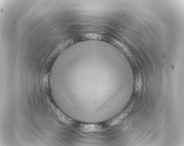X0000087710473200705251803