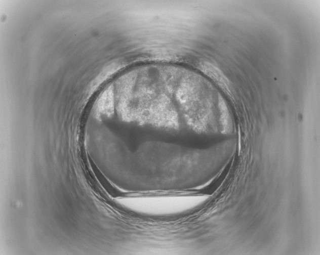 X0000087710483200705251802