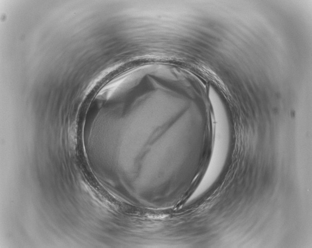 X0000087710484200705251802