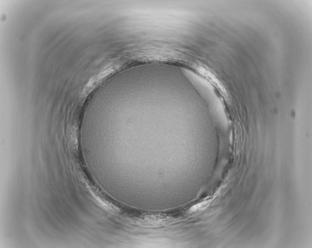 X0000087710489200705251802