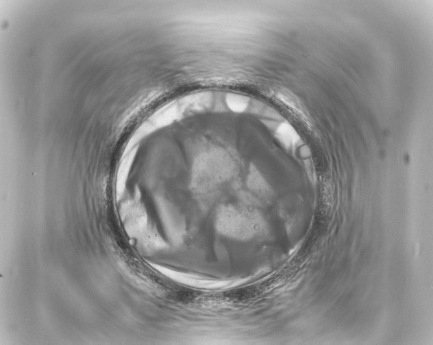 X0000087710491200705251802