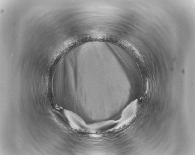 X0000087710496200705251802