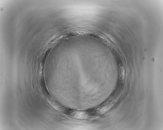 X0000087710507200705251802