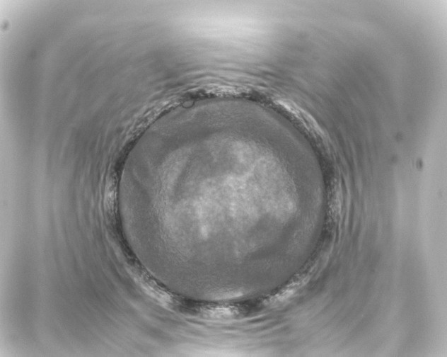 X0000087710513200705251802