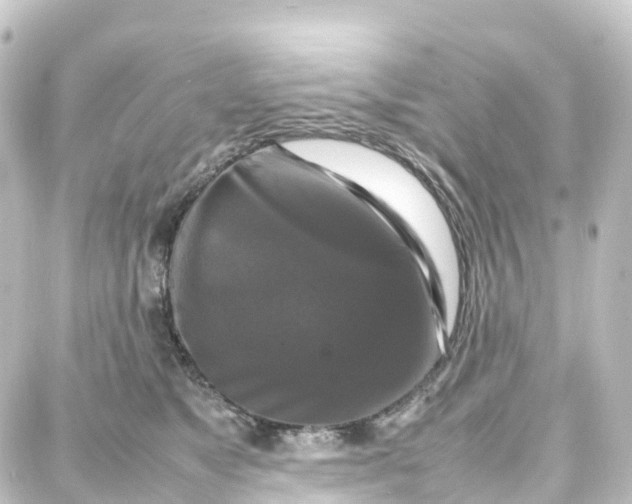 X0000087710517200705251802