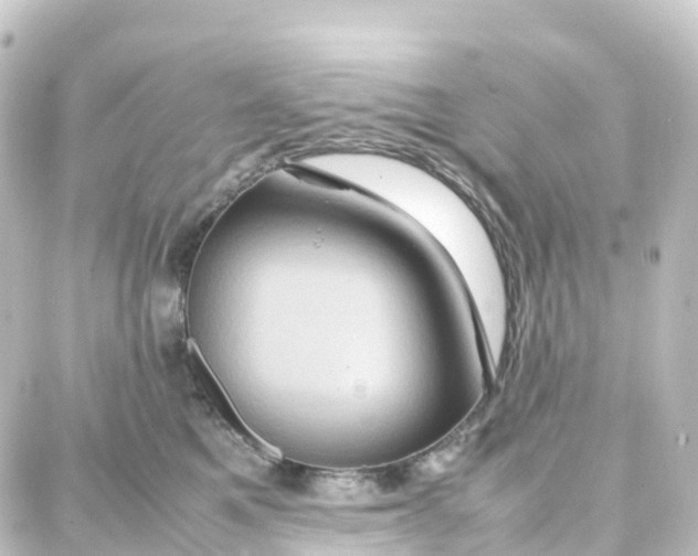 X0000087710521200705251801