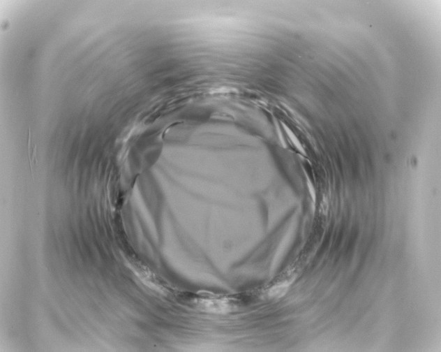 X0000087710524200705251801