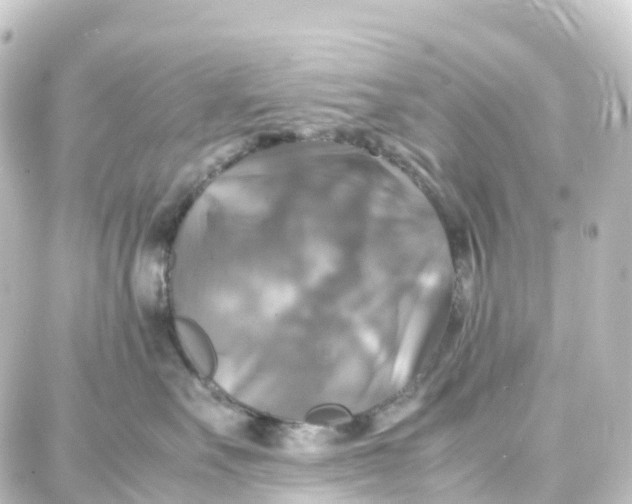 X0000087710527200705251801