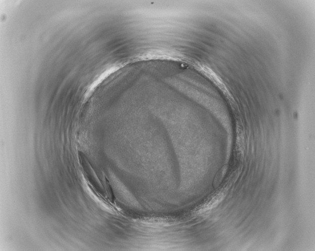 X0000087710530200705251801