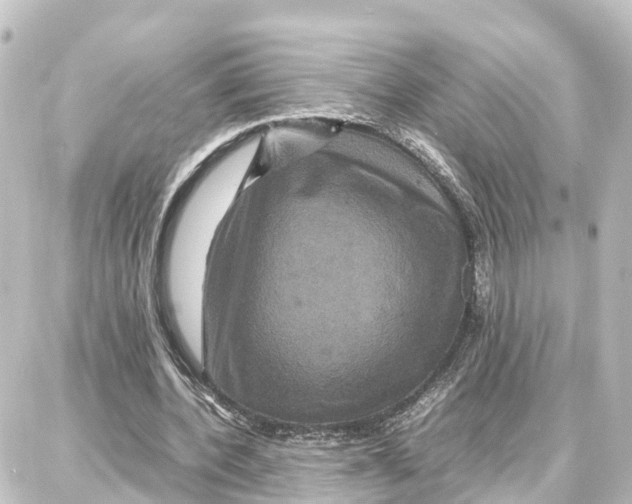 X0000087710532200705251801