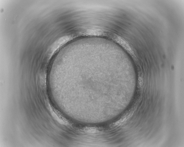 X0000087710534200705251801