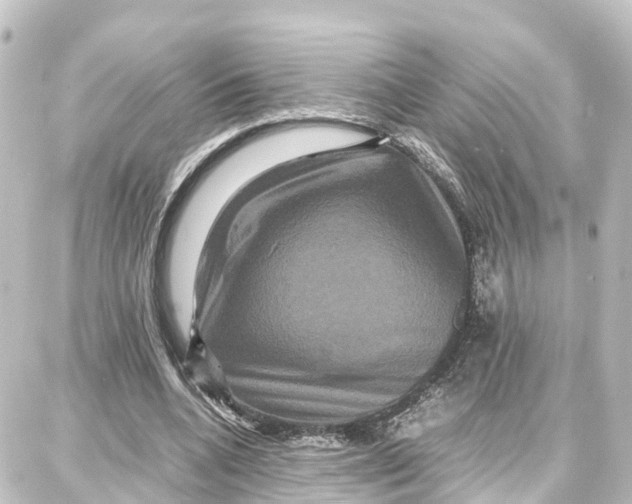 X0000087710536200705251801
